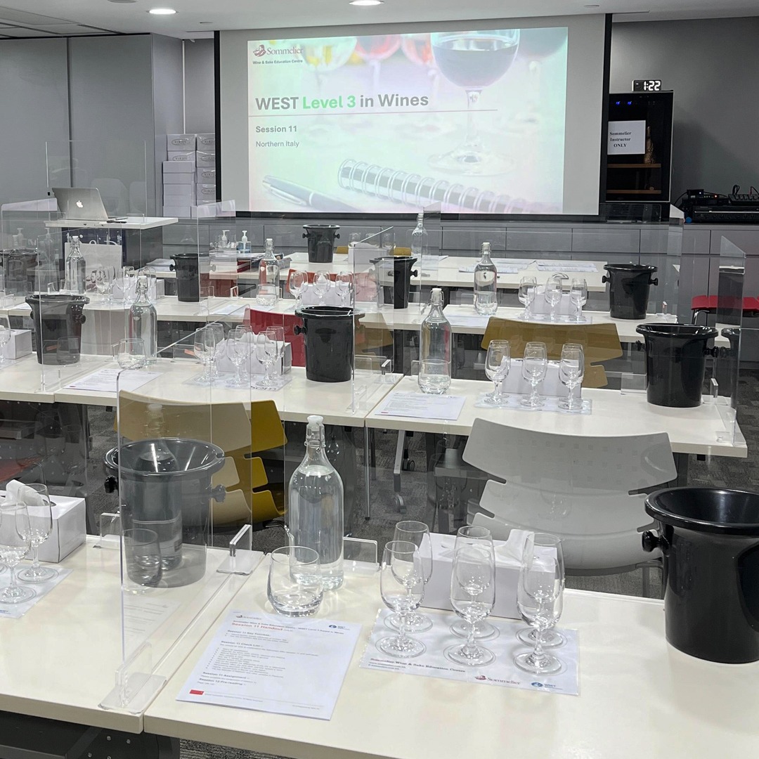 Group toasting with sparkling wine